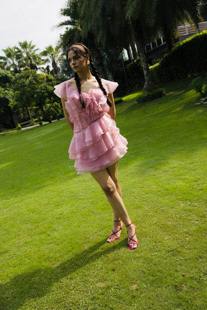 Blush Serenade Dress