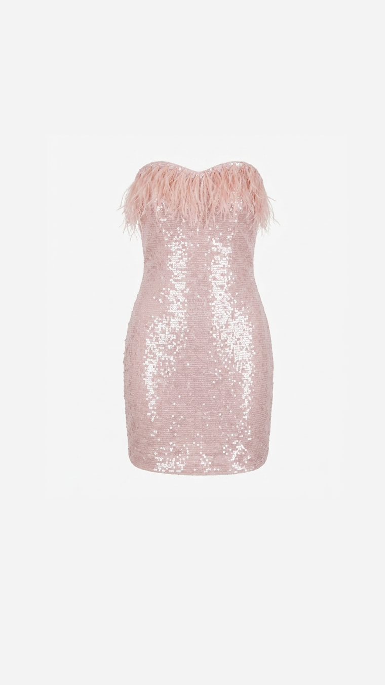 Blush Mirage Feather Dress